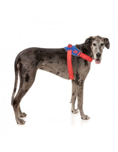 Hundegeschirr FuzzYard Flash Patriot reflektierend