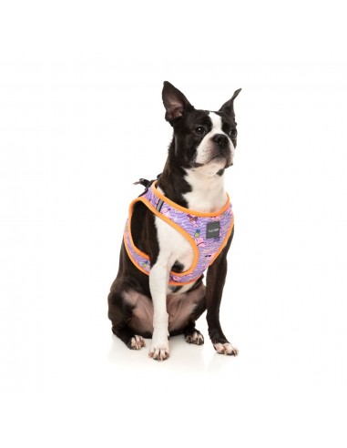 Step-in-Geschirr für Hunde FuzzYard Aloha Dolphins atmungsaktiv