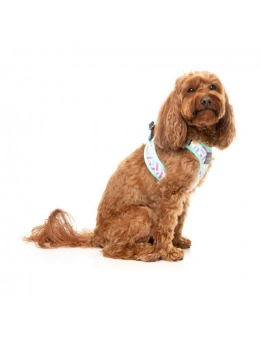 Step-in-Geschirr für Hunde FuzzYard Bubblegum Burst atmungsaktiv