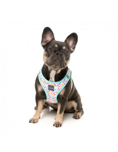 Step-in-Geschirr für Hunde FuzzYard Bubblegum Burst atmungsaktiv
