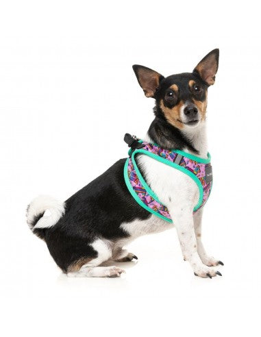 Step-in-Hundegeschirr FuzzYard Fiesta, atmungsaktiv und reflektierend