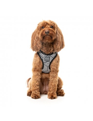Step-in-Hundegeschirr FuzzYard Fitzroy, atmungsaktiv und reflektierend