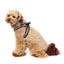 Step-in-Hundegeschirr FuzzYard Fitzroy, atmungsaktiv und reflektierend
