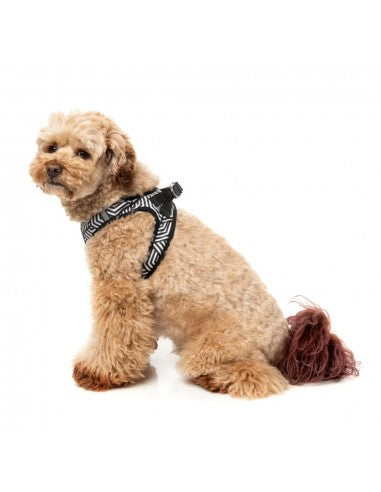 Step-in-Hundegeschirr FuzzYard Fitzroy, atmungsaktiv und reflektierend