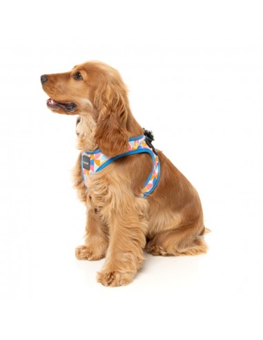 Step-in-Hundegeschirr FuzzYard Fresh Zest, atmungsaktiv und reflektierend