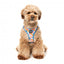Step-in-Hundegeschirr FuzzYard Fresh Zest, atmungsaktiv und reflektierend