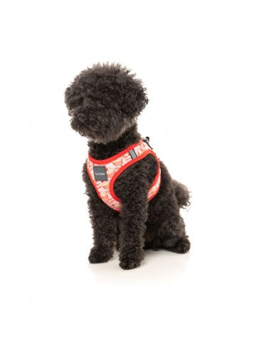 Step-in-Hundegeschirr FuzzYard Hey There Sweetie, atmungsaktiv und reflektierend