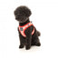 Step-in-Hundegeschirr FuzzYard Hey There Sweetie, atmungsaktiv und reflektierend