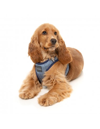 Step-in-Geschirr für Hunde FuzzYard Thornbury Aegean Blue, atmungsaktiv und reflektierend