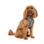 Step-in-Geschirr für Hunde FuzzYard Thornbury Aegean Blue, atmungsaktiv und reflektierend