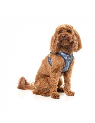 Step-in-Geschirr für Hunde FuzzYard Thornbury Aegean Blue, atmungsaktiv und reflektierend