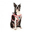 Step-in-Geschirr für Hunde FuzzYard You Drive Me Glazy, atmungsaktiv und reflektierend
