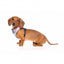 Atmungsaktives Hundegeschirr aus Lycra FuzzYard The Hive