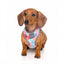 Atmungsaktives Hundegeschirr aus Lycra FuzzYard The Hive