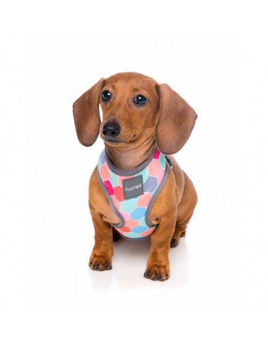 Atmungsaktives Hundegeschirr aus Lycra FuzzYard The Hive