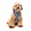 Atmungsaktives Hundegeschirr aus Lycra FuzzYard Thornbury Aegean Blue
