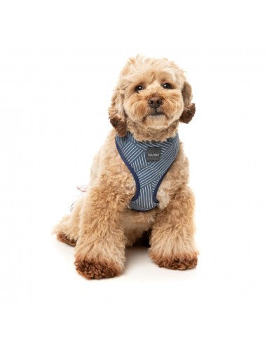 Atmungsaktives Hundegeschirr aus Lycra FuzzYard Thornbury Aegean Blue