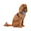 Atmungsaktives Hundegeschirr aus Lycra FuzzYard Thornbury Aegean Blue