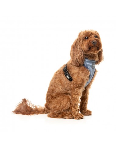Atmungsaktives Hundegeschirr aus Lycra FuzzYard Thornbury Aegean Blue