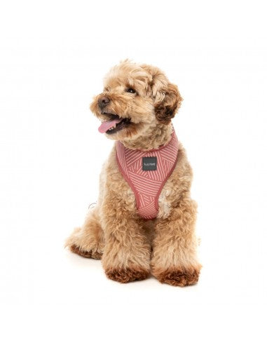 Atmungsaktives Hundegeschirr aus Lycra FuzzYard Thornbury Brick Red
