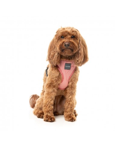 Atmungsaktives Hundegeschirr aus Lycra FuzzYard Thornbury Brick Red