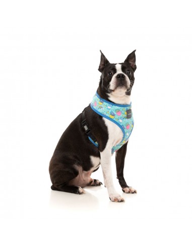 Atmungsaktives Hundegeschirr aus Lycra FuzzYard Wakey Wakey
