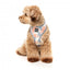 Atmungsaktives Hundegeschirr aus Lycra FuzzYard Yazd