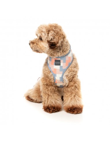 Atmungsaktives Hundegeschirr aus Lycra FuzzYard Yazd