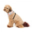 Atmungsaktives Hundegeschirr aus Lycra FuzzYard Yazd