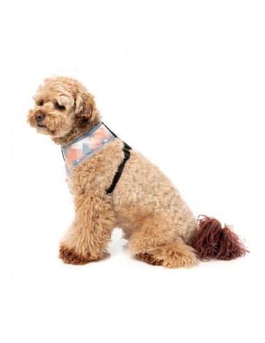 Atmungsaktives Hundegeschirr aus Lycra FuzzYard Yazd