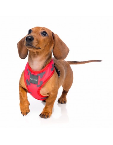 Atmungsaktives Hundegeschirr aus Lycra FuzzYard Yeezy El Fuego, Größe XL