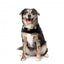 Hundeweste FuzzYard Rep It Ranger mit Klettverschluss