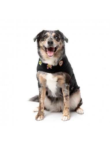 Hundeweste FuzzYard Rep It Ranger mit Klettverschluss