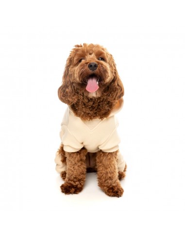 Hunde-Hoodie FuzzYard Urban aus Baumwolle in Buttermilk