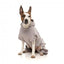 Hunde-Hoodie FuzzYard Urban aus Baumwolle in Hellgrau