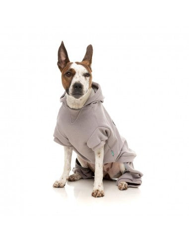 Hunde-Hoodie FuzzYard Urban aus Baumwolle in Hellgrau