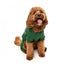 Hunde-Hoodie FuzzYard Urban aus Baumwolle in Grün