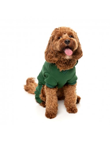 Hunde-Hoodie FuzzYard Urban aus Baumwolle in Grün
