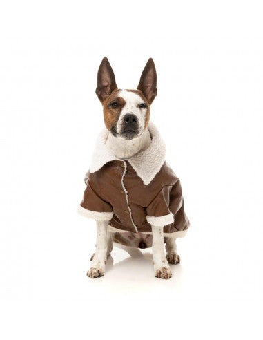 Fliegerjacke für Hunde FuzzYard Ava in Braun