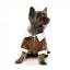 Fliegerjacke für Hunde FuzzYard Ava in Braun