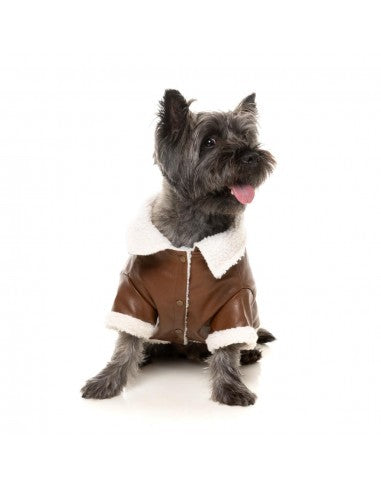Fliegerjacke für Hunde FuzzYard Ava in Braun