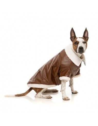 Fliegerjacke für Hunde FuzzYard Ava in Braun