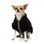 Sherpa-Hundemantel FuzzYard Basecamp in Schwarz