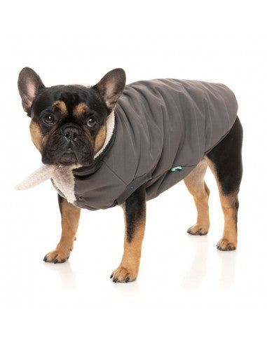 Bomberjacke für Hunde FuzzYard Nordic in Anthrazit mit abnehmbarem Schal