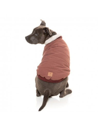 Bomberjacke für Hunde FuzzYard Nordic in Bordeaux mit abnehmbarem Schal