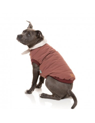 Bomberjacke für Hunde FuzzYard Nordic in Bordeaux mit abnehmbarem Schal