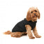 Hundejacke mit Geschirr FuzzYard East MacGyver in Schwarz