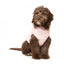 Hundejacke mit Geschirr FuzzYard East MacGyver in Rosa