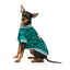Baseballjacke für Hunde FuzzYard Fastball in Grün
