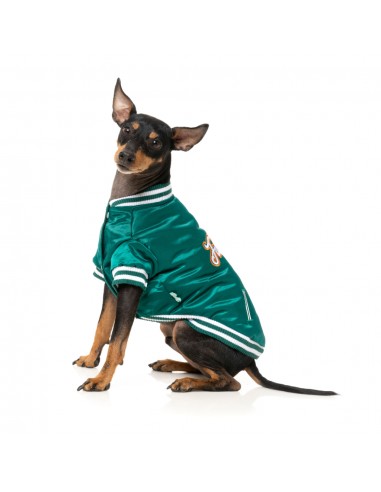 Baseballjacke für Hunde FuzzYard Fastball in Grün